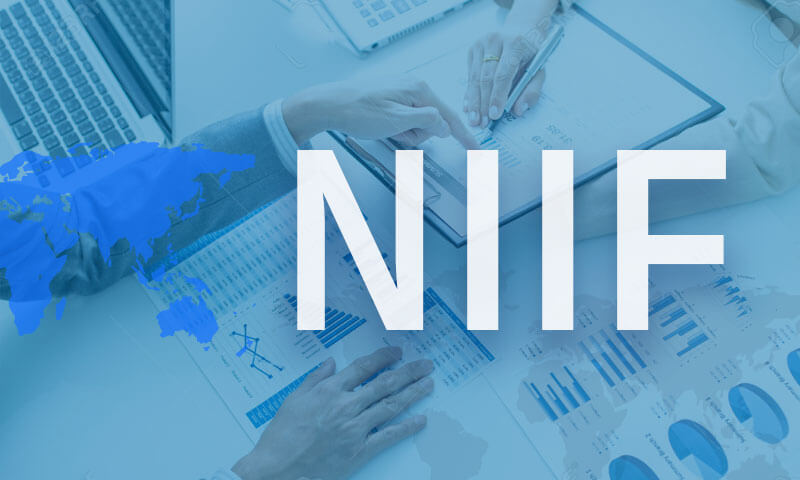 NIF Normas de información financiera